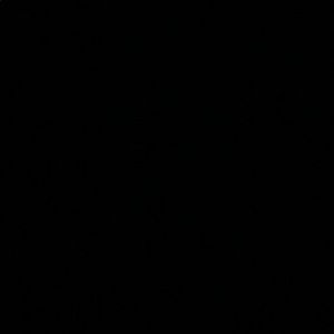 Meet your Posher, Tiara